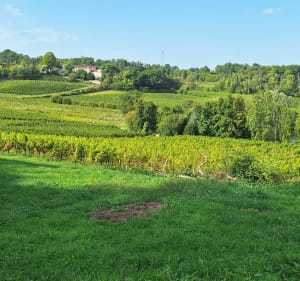 Fronsac et ses châteaux, par Capet - Fronsac - 2