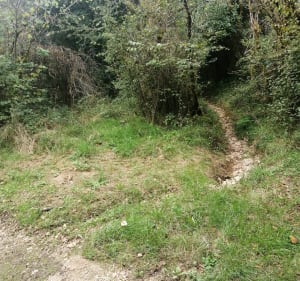 Petite boucle sur chemin et sentier forestier - Bellefont-La Rauze - 4