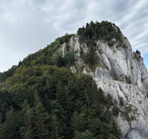 Dent du Chat et Mollard Noir - Le Bourget-du-Lac - 4