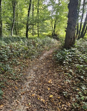 Forêt du bois lévêque et étang du Flaquet à VTT - David - 2