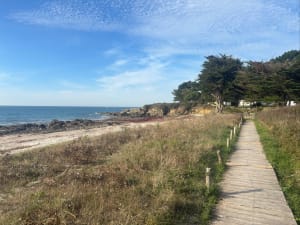 Petite boucle entre mer et champs à Sarzeau - jean-christophe - 7
