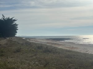Petite boucle entre mer et champs à Sarzeau - jean-christophe - 3