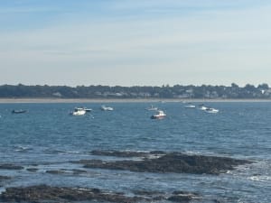 Petite boucle entre mer et champs à Sarzeau - jean-christophe - 5