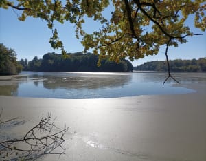 Boucle au Lac du Der - Jean-pierre - 10