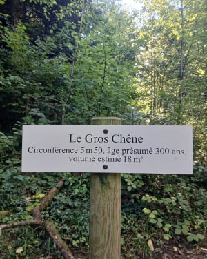 Nans-sous-Sainte-Anne: een fascinerende reis naar de bron van de Lison - Marie-laure - 3