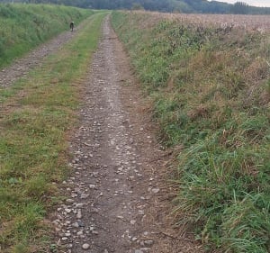 Circuit de Thiescourt et Bois de Loermont - Marie - 3