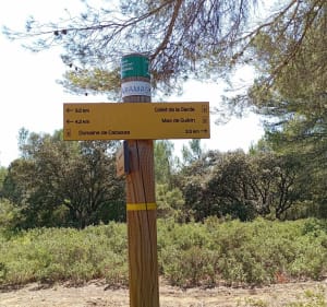 Balade dans le domaine de Cabasse par le Collet de la garde - Miramas - 2