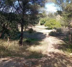 Balade dans le domaine de Cabasse par le Collet de la garde - Miramas - 4