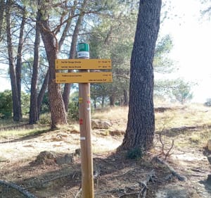 Balade dans le domaine de Cabasse par le Collet de la garde - Miramas - 5
