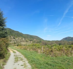Rompon, par Creyssac - Annabelle - 5