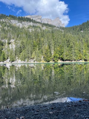 Le lac Vert depuis la Côte/Servoz - Servoz - 5