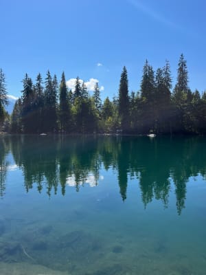 Le lac Vert depuis la Côte/Servoz - Servoz - 6