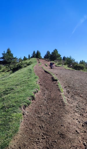 Dans les Puys de la Vache et Lassolas et terres volcaniques - Aydat - 10