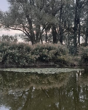 Entre Beuvry et Annequin - Catherine - 6