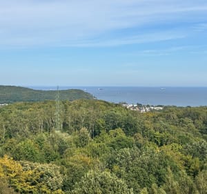 Mały Kack-Kolibki-Orłowo - Gdynia - 2