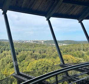 Mały Kack-Kolibki-Orłowo - Gdynia - 3