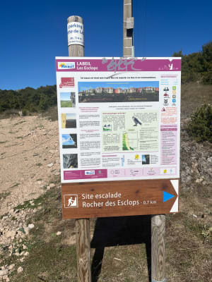 Forêt Escandorgue. - Laurent - 10