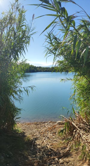 Balade Etang de Villelongue dels Monts + Le tech - Eloïse - 8