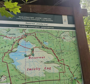 Rezerwat Imielty Ług - do torfowisk - Gierlachy - 2