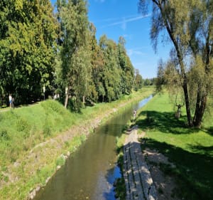 Wkoło komina i Legnica - Janusz - 5