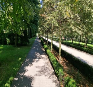 Wkoło komina i Legnica - Janusz - 3