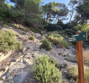 Les Dentelles de Montmirail - Gigondas - 3