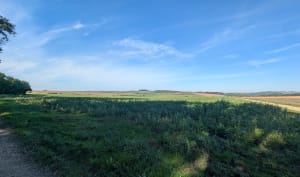 Rando depuis Roville-devant-Bayon - Frederic - 6