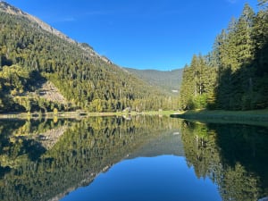 Tour du lac de Montriond et la jolie cascade d’Ardent - Montriond - 7