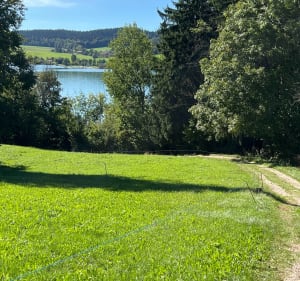 Sentier du tour du lac Saint-Point - Florence - 5