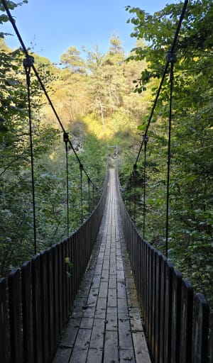 De voetgangersbrug Trou de l'Enfer in Saint-Jean-d'Arvey - JEAN PHILIPPE - 3