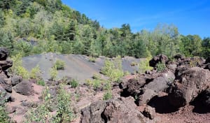 Dans les Puys de la Vache et Lassolas et terres volcaniques - Aydat - 12