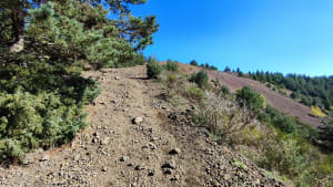 Dans les Puys de la Vache et Lassolas et terres volcaniques - Aydat - 13