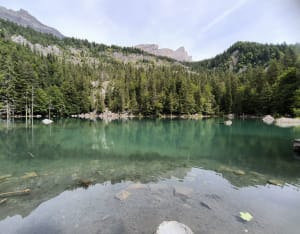Le lac Vert depuis la Côte/Servoz - Servoz - 3
