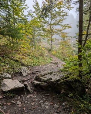 Wandelen naar Mont Charvin vanuit Les Sardoches - Sarah - 9
