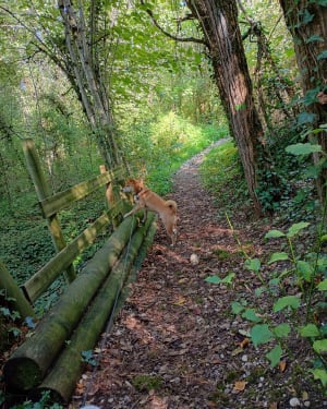 Sentier nature à La Bâtie-Montgascon - val - 5