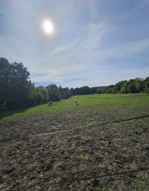 Découverte de la forêt de Bondy - Aurélie - 3