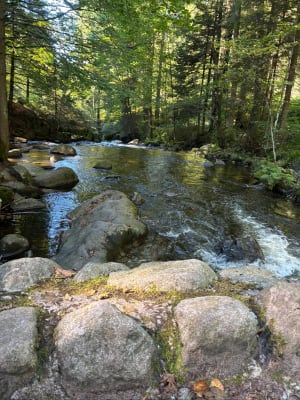 Boucle du Saut des Cuves par le Lac de Lispach et de Longemer - Emma - 6