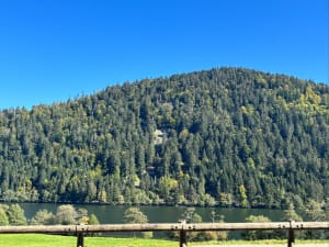 Boucle du Saut des Cuves par le Lac de Lispach et de Longemer - Emma - 7