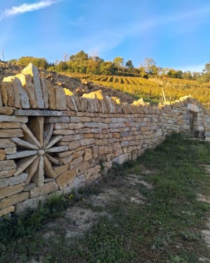 Balade au Mont des Tartres à Lons-le-Saunier - Beatrice - 2