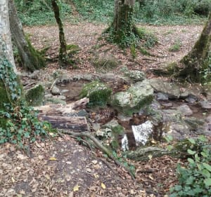 Le long des ruisseaux, par la Gourrière - Melanie - 5