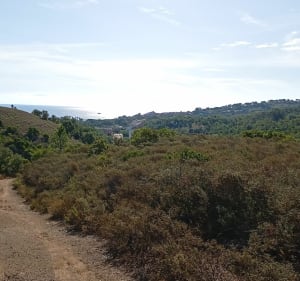Bois de la Gaillarde vers la résidence du grand Boucharel - Fréjus - 4