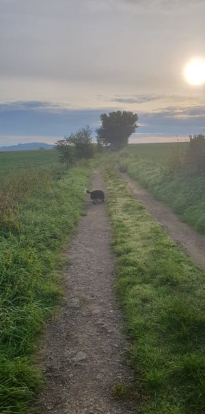 Boucle Chaponnay - cecile - 2
