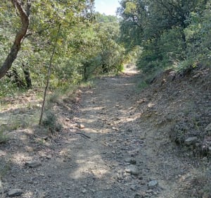 Autour de Monoblet, par le Col de la Tourte et le Bruguier - Didier - 5