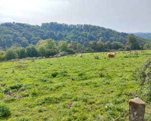 Balade autour de l'Étang de Rosière - Bourgoin-Jallieu - 2
