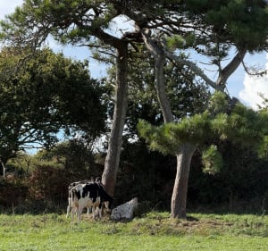 Boucle des Kaolins - Ploemeur - 4