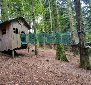 Boucle depuis la Planche des Belles Filles (70) - Plancher-les-Mines - 3