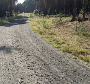 Trekking leśnymi ścieżkami - OLEKSANDR - 4