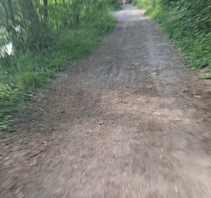 Balade sur les bords de l'Oise - Saint-Ouen-l'Aumône - 2