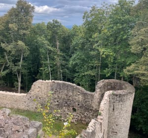 Balade en forêt entre 2 châteaux - Andlau - 2