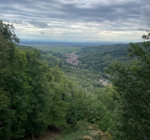 Balade en forêt entre 2 châteaux - Andlau - 4